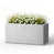 Pale Grey est en rupture de stock