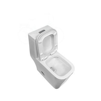 Square Bowl Dual-Flush One-Piece Toilet with Concealed Trapway