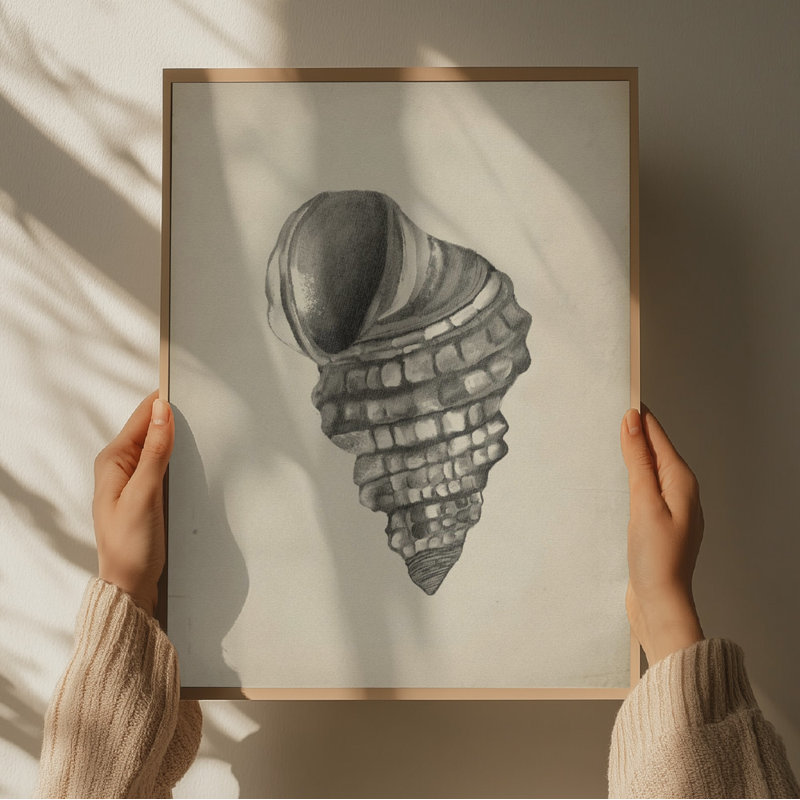 Detailed Spiral Shell by Josie George — Animal Wall Art, 16 × 24, Framed Print, Black