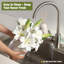 Ensemble de 2 fleurs de lis artificielles blanches - lis en soie réaliste, fleur décorative, arrangement floral, décoration de maison et de mariage, centre de table floral