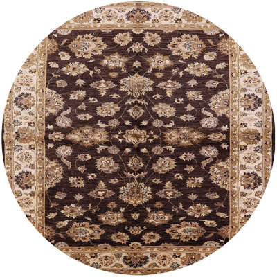 Chrisanna Oriental Indoor Rug