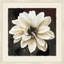White Bloom 1 Print