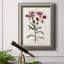 Flower Garden Varietals II - reproduction d'art sur toile encadrée-765797583