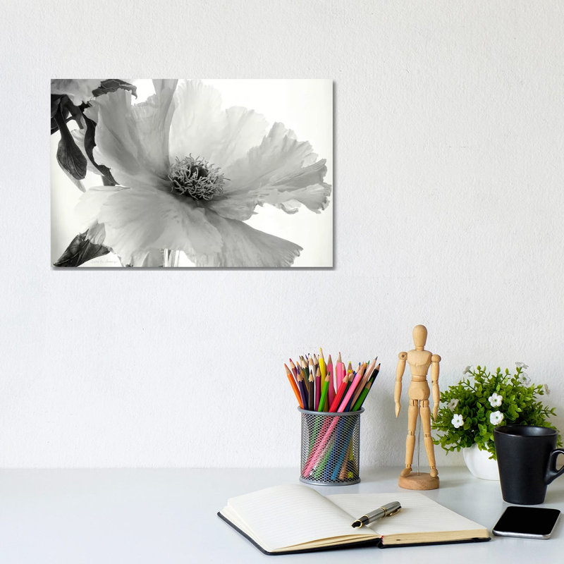 Translucent Peony, B&W IV 1 Piece Wrapped Canvas Wall Art, 20.32 cm H x 30.48 cm W