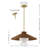 Granbury Bunita 19.5" Rattan Pendant