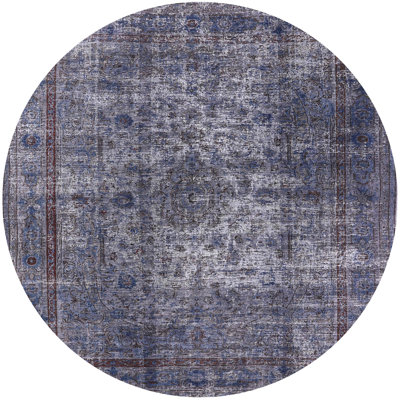 Oriental Indoor Rug