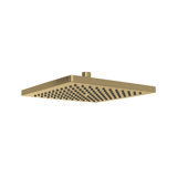 10" Rain Showerhead