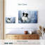 Border collie d'hiver-107879820
