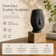 Figurines & Sculptures