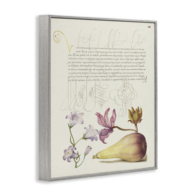 Classical Cottage Plants Giclee Art by Melissa Wang