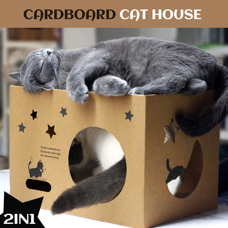 Scratching Post