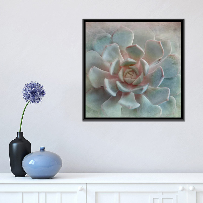 « pastel succulent ii », impression sur toile, H 18 po x l 18 po x P 1,5 po, Toile avec cadre noir, Pas de tapis