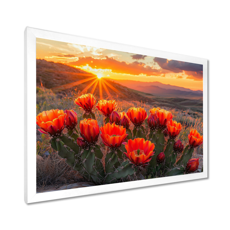 Cactus en fleurs au coucher du soleil II - Cactus, art mural, Cadre simple, H 16 po x l 32 po, Blanc