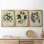 Linen and Leaves I - Ensemble de 3 reproductions d'art sur toile-647998997-647998996