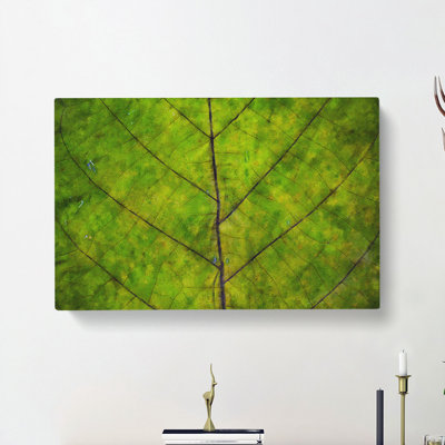 Lines Of The Leaf - Wrapped Canvas
