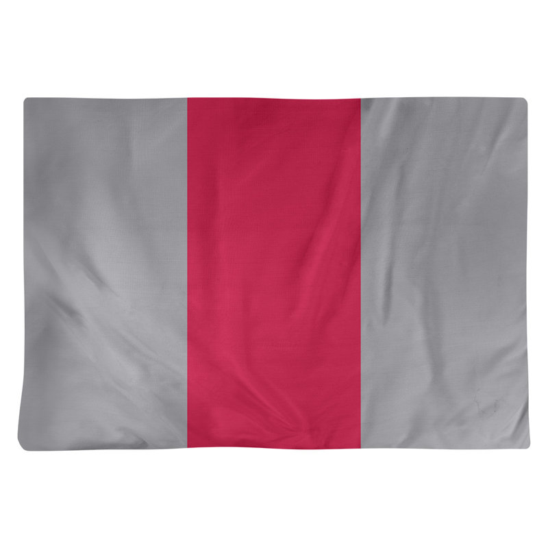 Récapitulatif 18" basket Toronto, Argent / rouge / argent, Sergé de coton