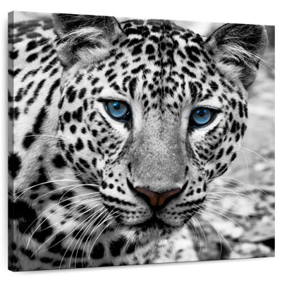 Leopard Brampt