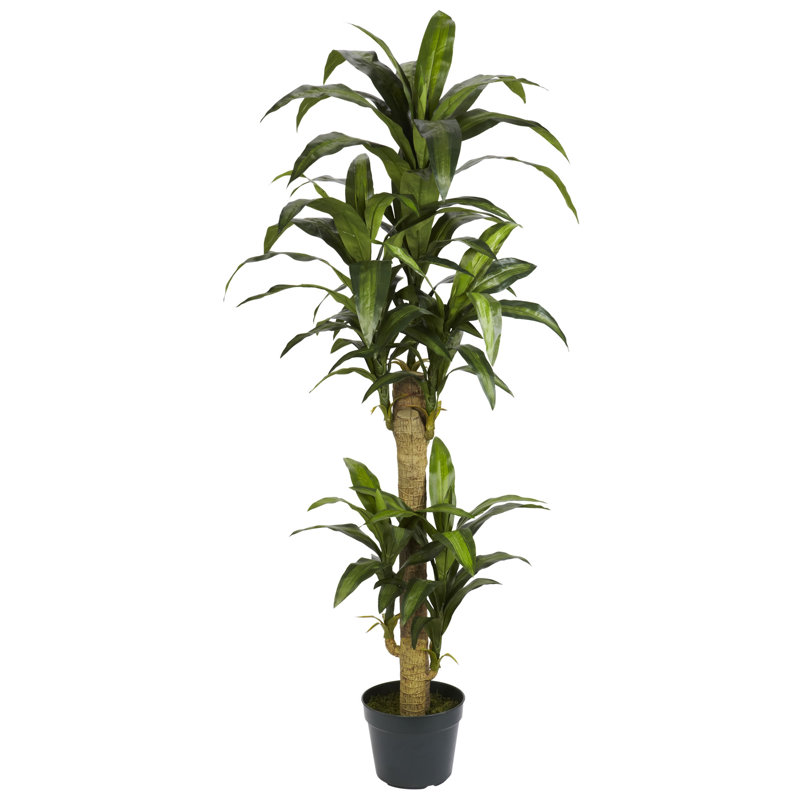 Yucca artificiel 53 po en pot