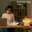 Lampe de bureau en céramique Zarina