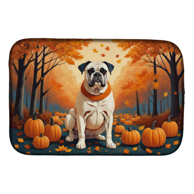 Tapis de séchage