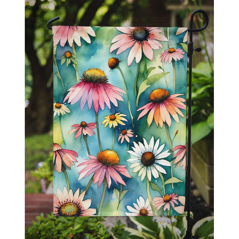 Drapeau d'hypericum ou de millepertuis, Coneflowers