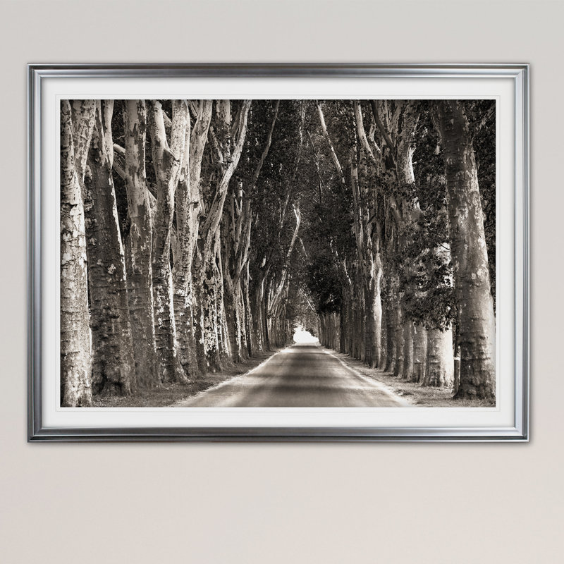 " Stately Road ", Silver, 30" H x 40" W x 1.5" D