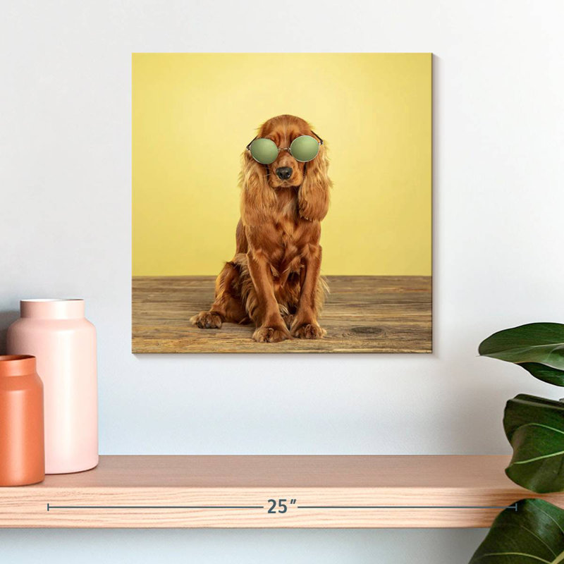 Crowle Cool Cocker Spaniel, 16" H x 16" W