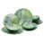 White/Green