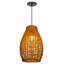 Luminaire suspendu 1 lumière