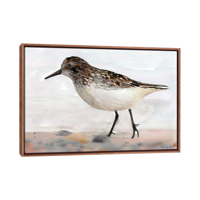 Sandpiper II by Stellar Design Studio - Painting on Canvas, 66.04 cm H x 45.72 cm W, Brown Floater Frame