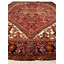 Oriental Area Rug