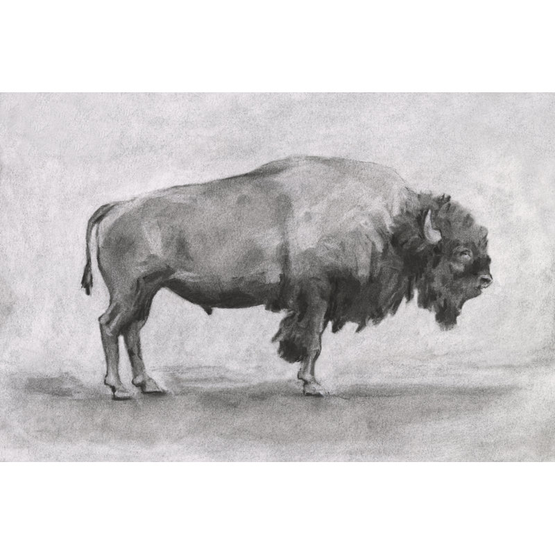 Étude de bisons sauvages I, H 12 po x l 18 po x P 1,25 po