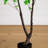 6Ft. Artificial Minimalist Enkianthus Tree