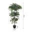 185cm Faux Zamioculcas Tree in Freestanding
