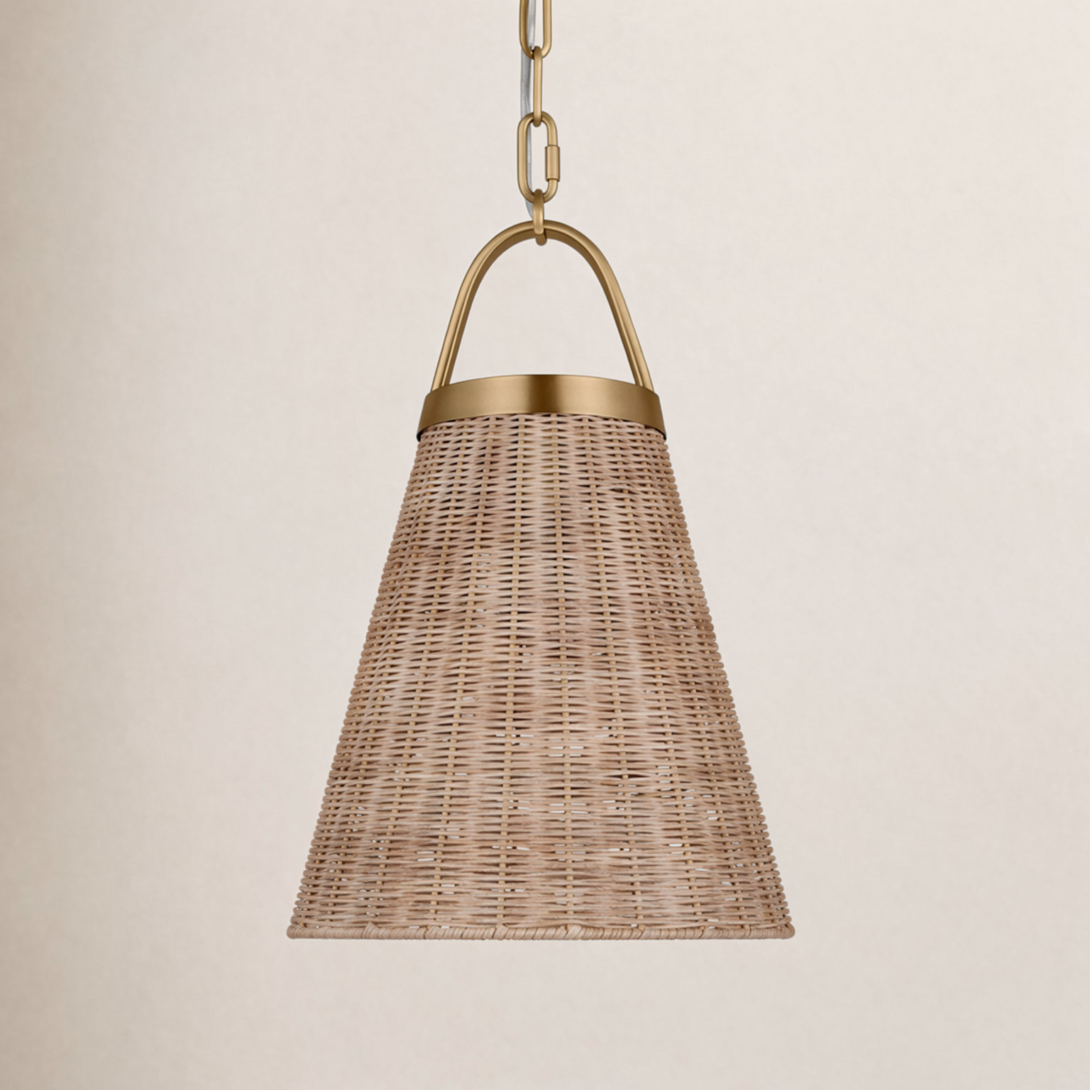 Darnaja Single Light Rattan Steel Dimmable Pendant, 18.5" H x 12.5" W x 12.5" D