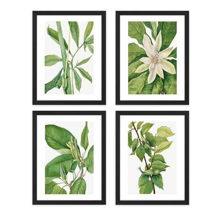 Botanical Prints, Set of 4, 8x10 Prints Unframed, Plant Painting, Botanical  Wall Art Plant Poster (Option 1)