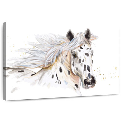 Appaloosa Beauty