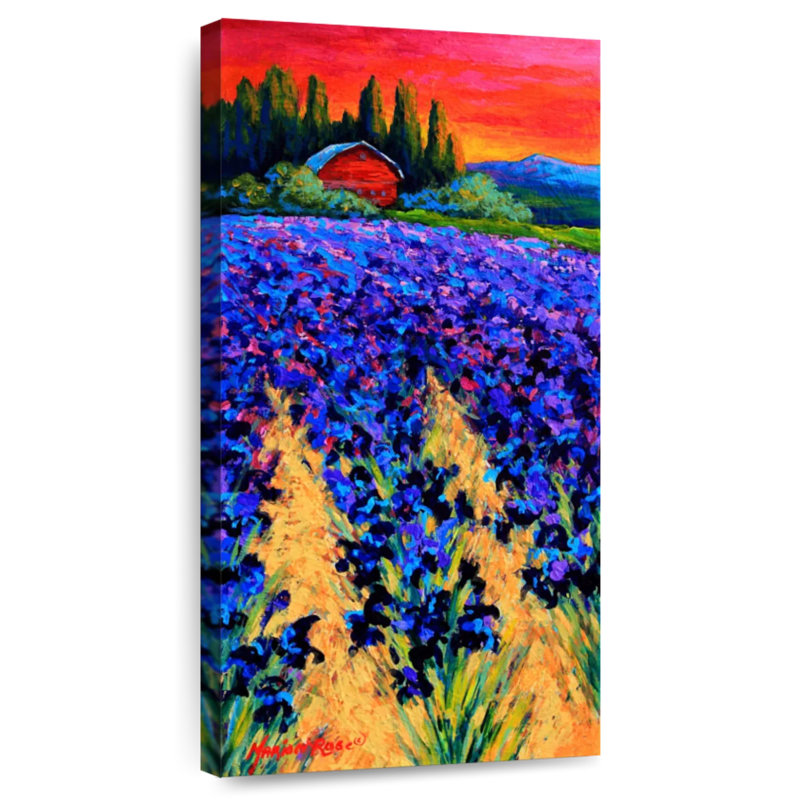 Iris Farm