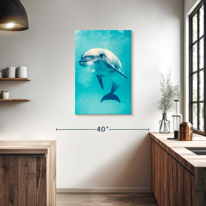 Brampt Bottlenose Dolphin Underwater, 36" H x 24" W