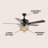Naples 52'' Ceiling Fan with Light Kit