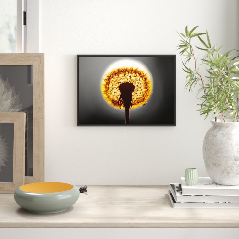 Gerahmtes Wandbild Pusteblume vor untergehender Sonne