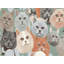 Tapis Hokku Designs-1579672651