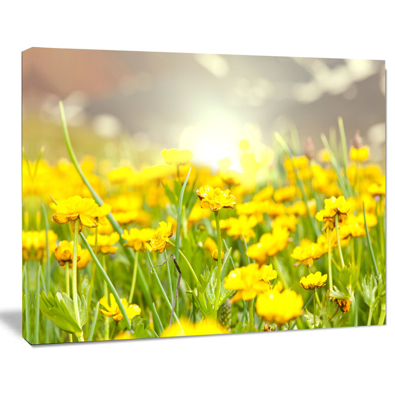 « ensoleillé avec fleurs jaunes », reproduction de photo sur toile tendue, H 30 po x l 40 po x P 1 po, Toile tendue