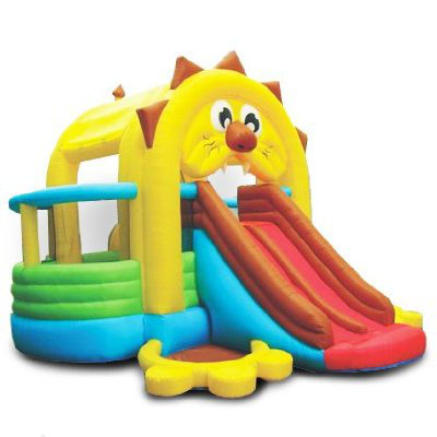 Rebond-salle lion
