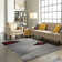 Adonia Abstract Indoor Rug