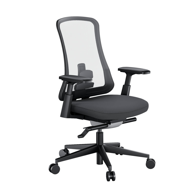  Chaises de bureau à domicile Chaises de bureau ergonomiques à haut dossier et roulettes, Noir, Noir