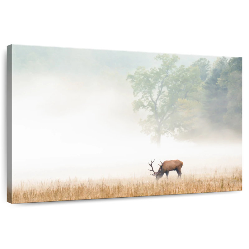 Cataloochee Elk, 32" H x 48" W