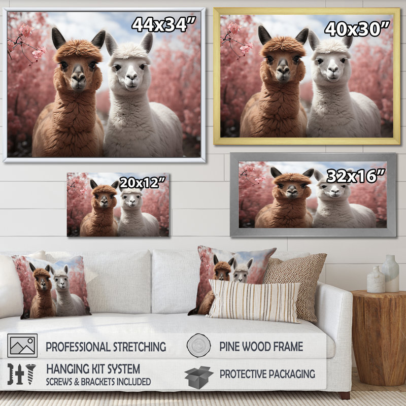 Alpacas Graceful Alpacas II " Alpacas Graceful Alpacas II ", White Picture Framed, 30" H x 40" W x 1.5" D