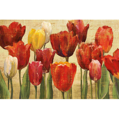 Tulip Fantasy Cream - Wrapped Canvas Painting