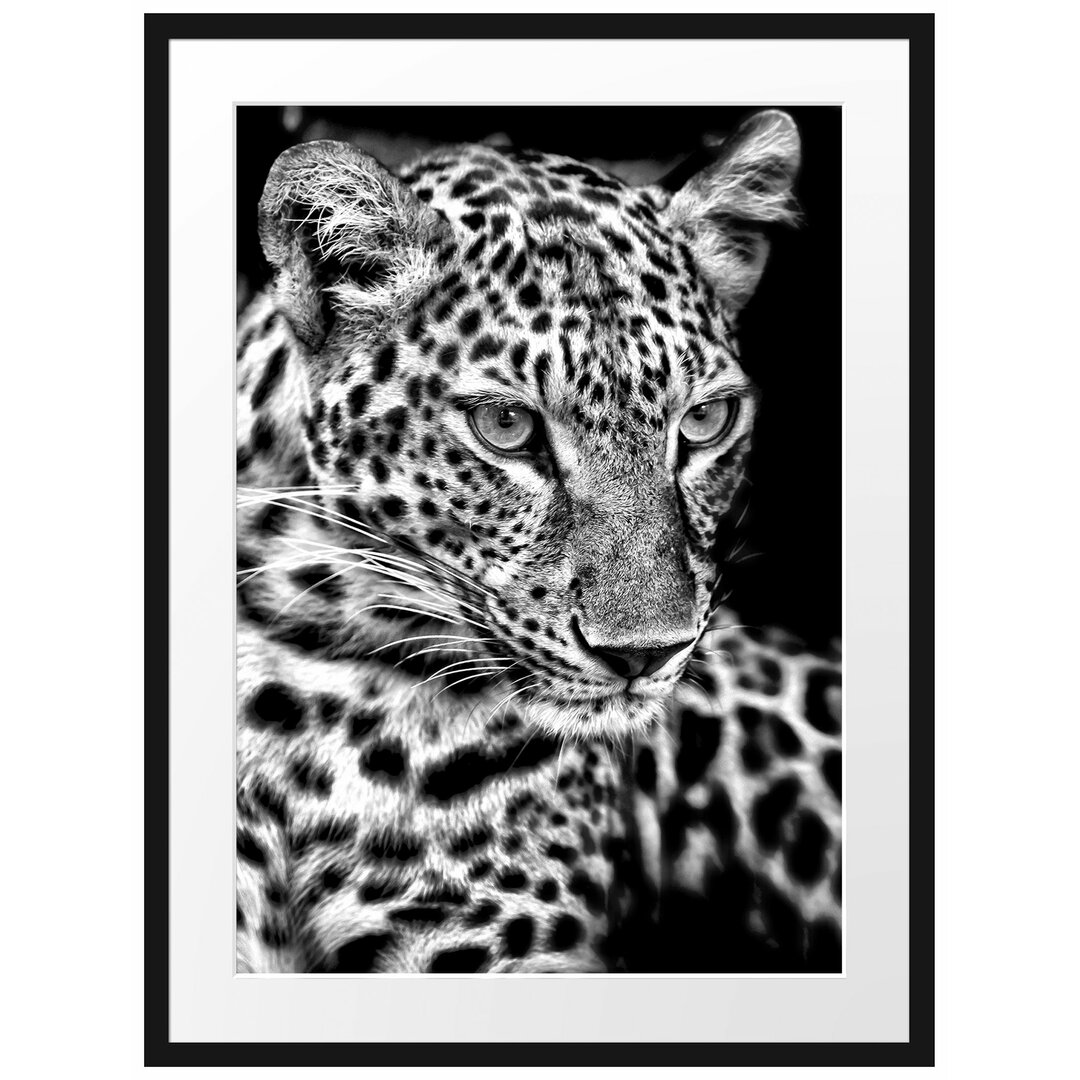 Gerahmtes Poster Leopard mit blauen Augen